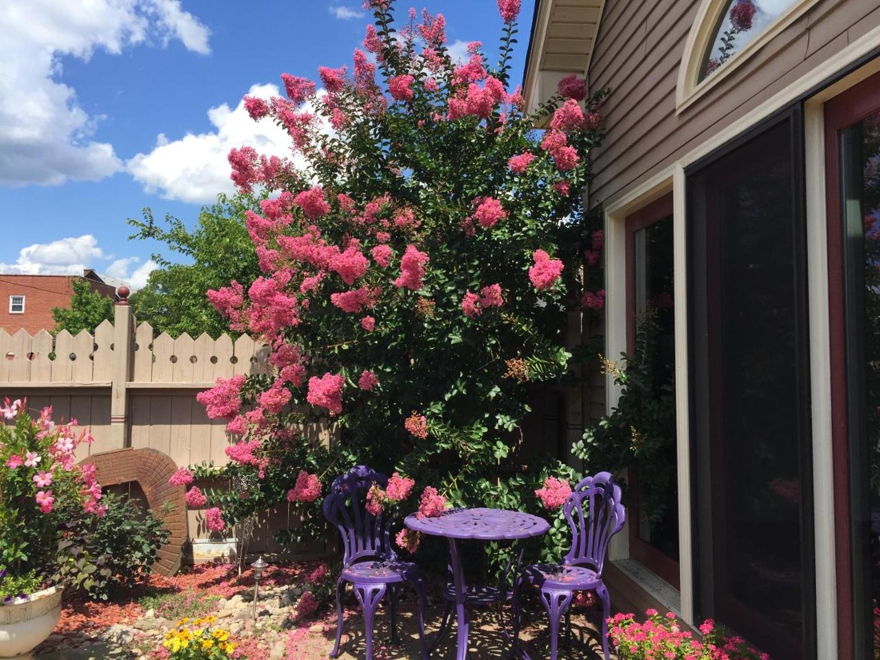 Weller Haus Bed, Breakfast & Event Center Bed and Breakfast Bellevue Εξωτερικό φωτογραφία